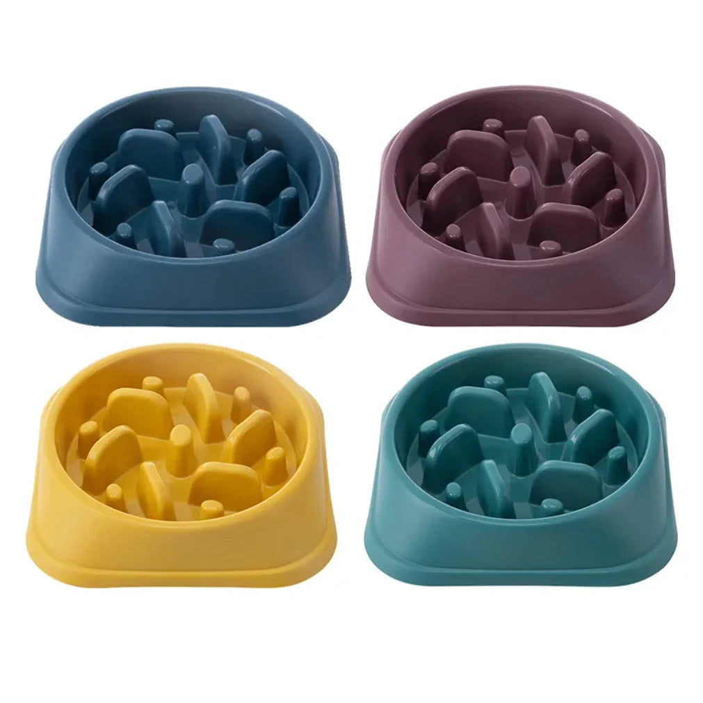 Slow Feeder Dog Bowl 