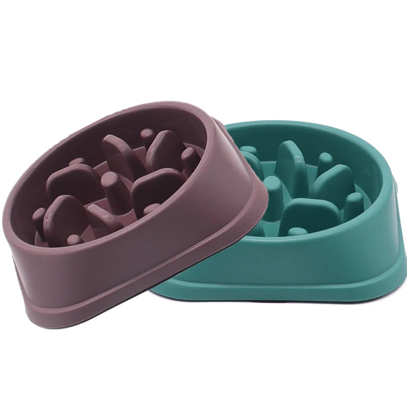 Slow Feeder Dog Bowl 
