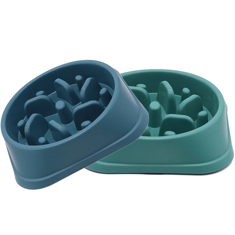 Slow Feeder Dog Bowl 