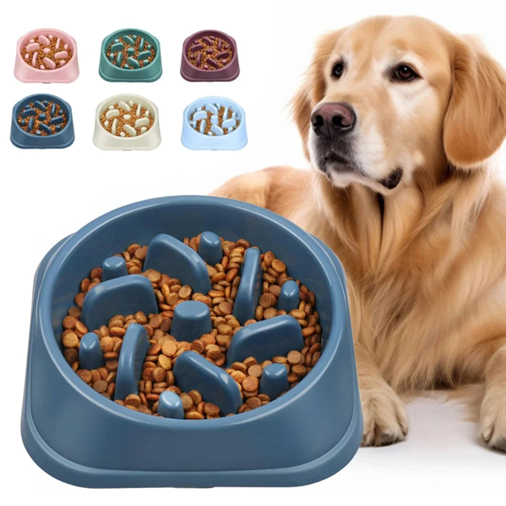Slow Feeder Dog Bowl 
