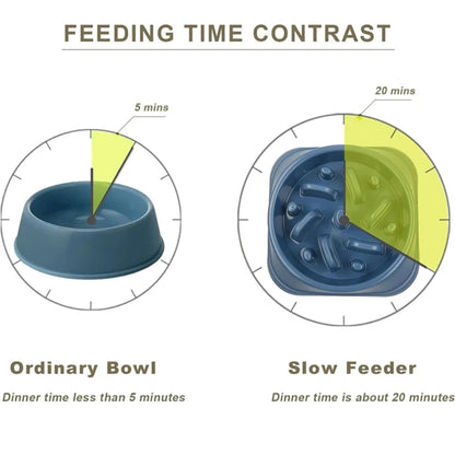 Slow Feeder Dog Bowl 