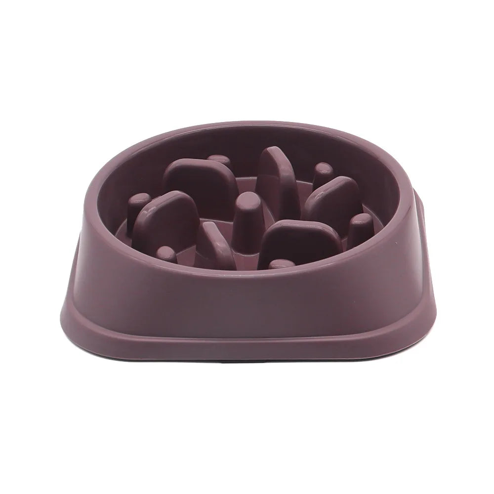Slow Feeder Dog Bowl 
