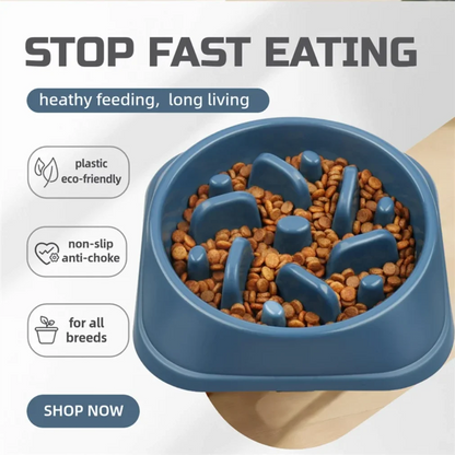 Slow Feeder Dog Bowl 